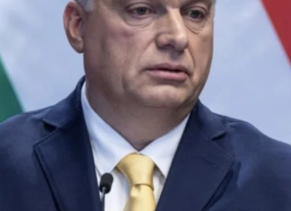 Газовый шантаж: Венгрия перекрывает Украине транзит — что это значит для Одесщины