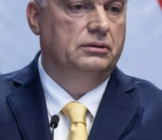 Газовый шантаж: Венгрия перекрывает Украине транзит — что это значит для Одесщины