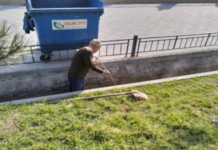 На побережье Одессы провели санитарный мониторинг, – ФОТО