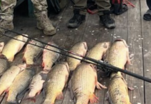 Попался с поличным: в Одесской области браконьер «наловил» почти на 300 тысяч гривен, — ФОТО