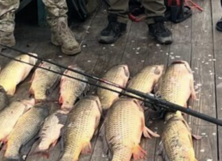 Попался с поличным: в Одесской области браконьер «наловил» почти на 300 тысяч гривен, — ФОТО