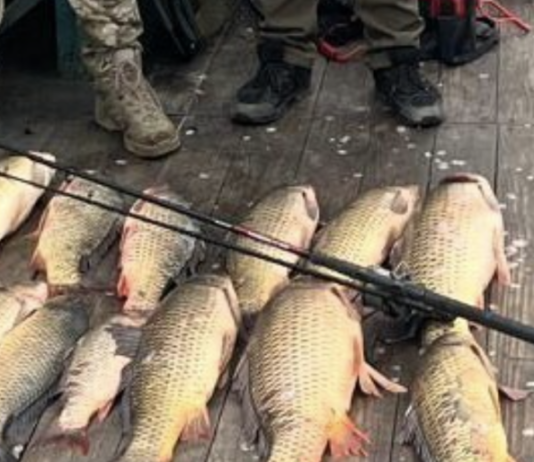 Попался с поличным: в Одесской области браконьер «наловил» почти на 300 тысяч гривен, — ФОТО