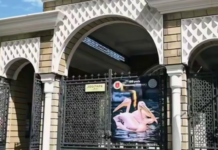 Одесский зоопарк остается на своем месте: изменений статуса или переезда не будет