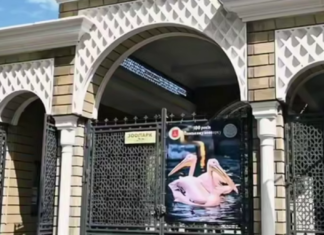 Одесский зоопарк остается на своем месте: изменений статуса или переезда не будет