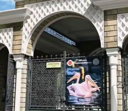 Одесский зоопарк остается на своем месте: изменений статуса или переезда не будет