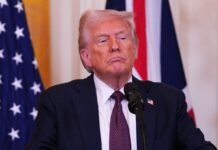 Трамп составил перечень «непослушных» стран НАТО и планирует их наказать, — Politico