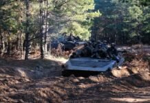 Враг под прикрытием «зеленки» рвется в лес на Днепропетровщине: в ВСУ объяснили цель