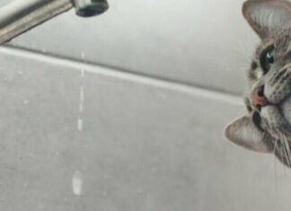 Часть Одессы окажется без воды 17 апреля: адреса