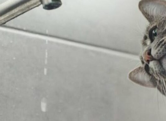 Часть Одессы окажется без воды 17 апреля: адреса