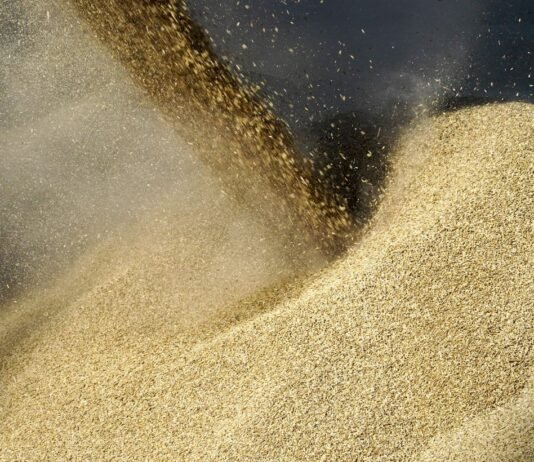 Египет дал обещание Зеленскому и хочет больше украинского зерна