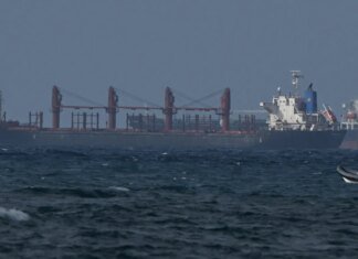 В Израиле не станут разгружать судно с украденным рф украинским зерном — СМИ