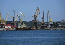 Оккупанты вывезли из порта Мариуполя почти 60 тысяч тонн пшеницы — горсовет