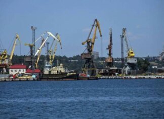 Оккупанты вывезли из порта Мариуполя почти 60 тысяч тонн пшеницы — горсовет