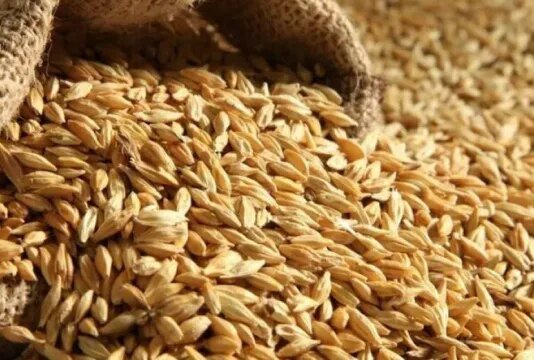 Египет принял судно Asomatos с похищенной украинской пшеницей — Сибига