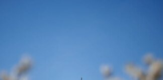 Торговый суд США признал незаконными пошлины Трампа, но заблокировал их лишь частично