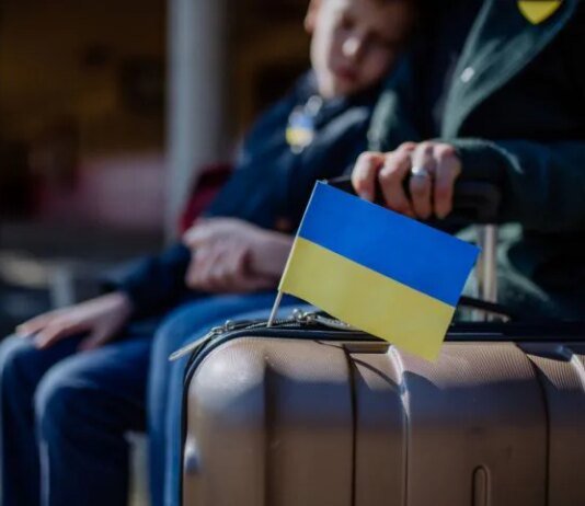 НБУ назвал сроки возвращения украинцев из-за границы, связывает это с улучшением на рынке труда и падением безработицы до 9%