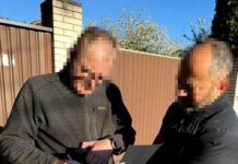 В Украину завозили алкоголь под видом дипломатических грузов — разоблачена схема более чем на 4 млн гривен
