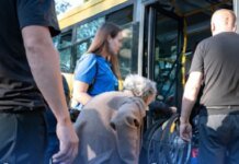 Деньги на жилье и помощь детям: новые условия поддержки для ВПЛ