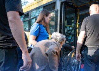 Деньги на жилье и помощь детям: новые условия поддержки для ВПЛ