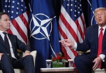 Рютте предлагает странам НАТО выделять 0,25 процента ВВП для Украины
