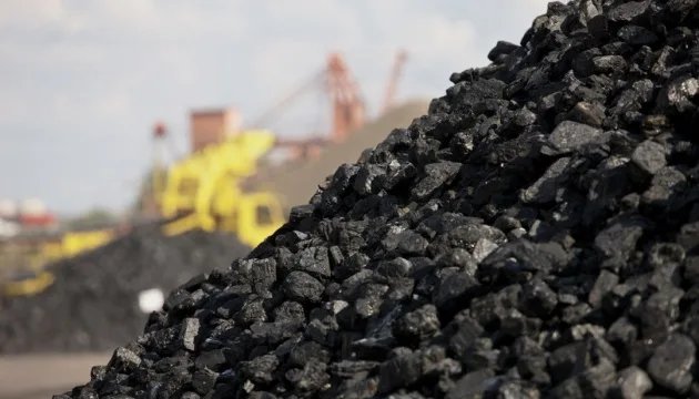 Директор ЦДЕ очертил будущее угольной генерации в Украине