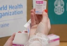 Укус собаки или кота может стоить жизни: в Одесскую область доставят препарат для экстренных случаев, — ФОТО