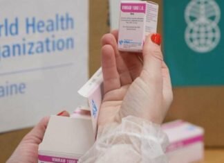 Укус собаки или кота может стоить жизни: в Одесскую область доставят препарат для экстренных случаев, — ФОТО
