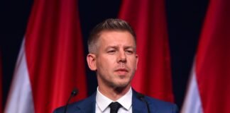 Зачем Петер Мадьяр поднимает вопрос венгров в Украине: объяснение эксперта