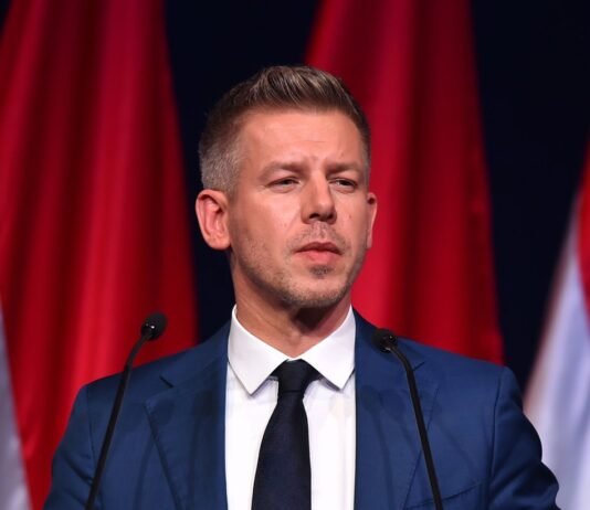 Зачем Петер Мадьяр поднимает вопрос венгров в Украине: объяснение эксперта