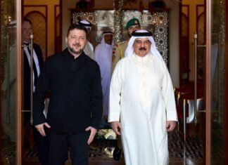 Зеленский предложил королю Бахрейна заключить Drone Deal