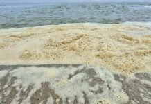 После шторма масло снова вынесло на побережье Одесщины