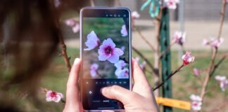 Снимаем весну во всей красе: как сделать приятные фото цветов на смартфон, лучшие настройки и советы
