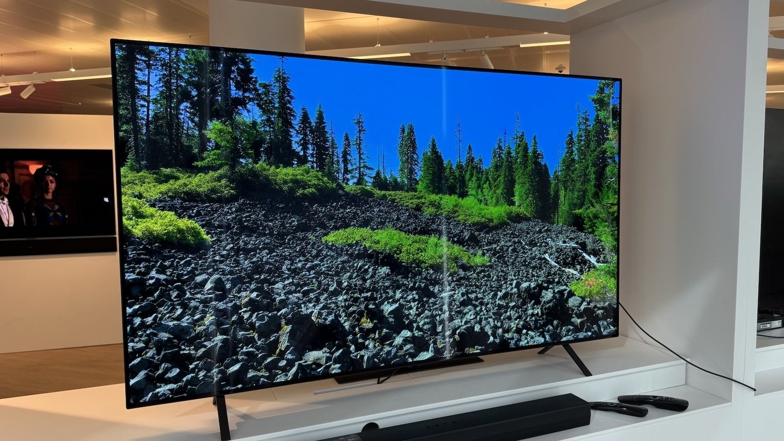 Недорогие OLED-телевизоры с отличными параметрами: топ-3 модели от ведущих брендов (фото)