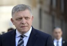 У Зеленского рассказали, какой сигнал Фицо повез Путину