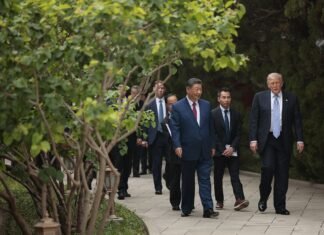 США и Китай договорились сунизить пошлины после переговоров Трампа и Си