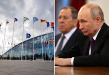 Politico: Европа боится, что Путин видит окно для атаки на НАТО