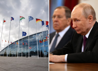Politico: Европа боится, что Путин видит окно для атаки на НАТО