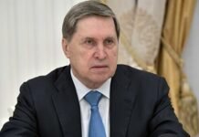 У Путина заявили о паузе в переговорах с США и Украиной: сроки не назвали