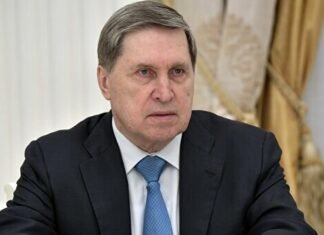 У Путина заявили о паузе в переговорах с США и Украиной: сроки не назвали