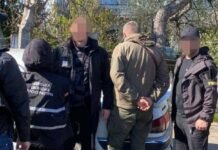 «Черный» лес и шантаж: в Одесской области лесник требовал деньги с работников