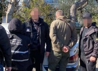«Черный» лес и шантаж: в Одесской области лесник требовал деньги с работников