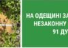 Массовая вырубка дубов в Одесской области: государству нанесли миллионный ущерб