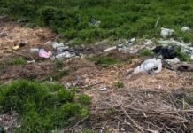 В Одесской области люди засорили берег лимана: вмешались экологи