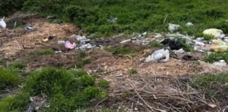 В Одесской области люди засорили берег лимана: вмешались экологи