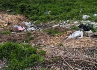 В Одесской области люди засорили берег лимана: вмешались экологи