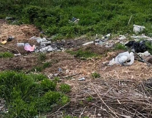 В Одесской области люди засорили берег лимана: вмешались экологи