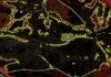 После атаки РФ в Одесской области выгорело более тысячи гектаров заповедника