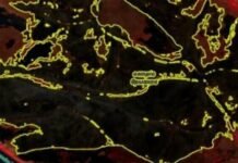 После атаки РФ в Одесской области выгорело более тысячи гектаров заповедника