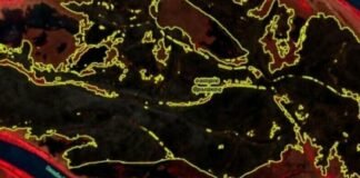 После атаки РФ в Одесской области выгорело более тысячи гектаров заповедника