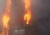 Российский дрон убил собаку в зоомагазине в Одесской области, — ФОТО